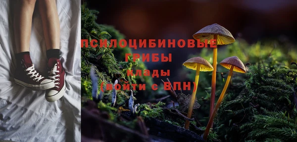 амфетамин Алексеевка