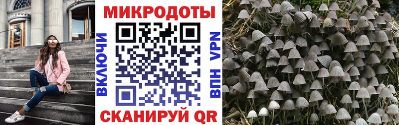 Псилоцибиновые грибы мицелий Западная Двина
