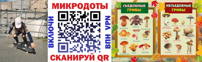 Псилоцибиновые грибы Cubensis  Западная Двина 