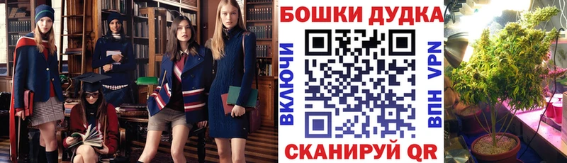 Бошки Шишки OG Kush Западная Двина
